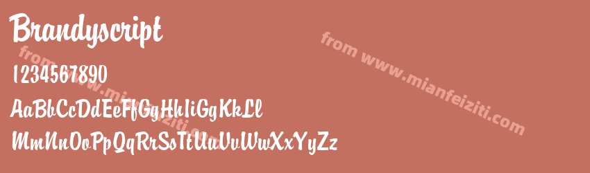 Brandyscript预览图1