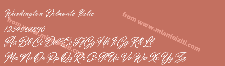 Washington Delmonte Italic预览图1