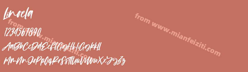 Linoela预览图1