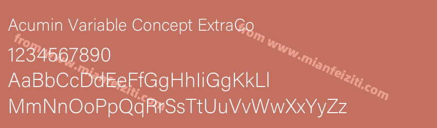 Acumin Variable Concept Extra Co预览图1