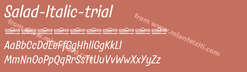 Salad Trial Italic预览图1
