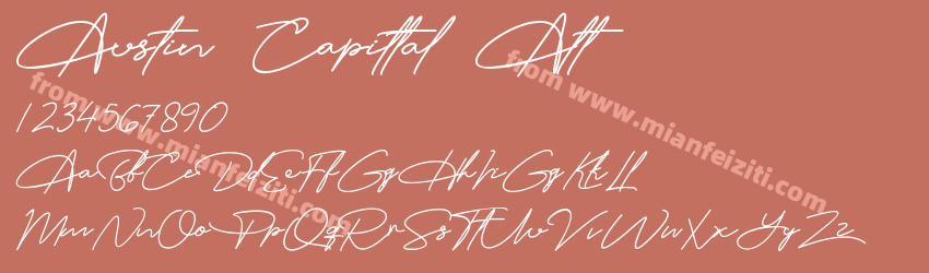 Austin Capittal Alt Regular预览图1
