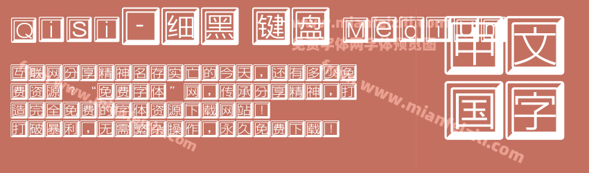 Qisi-细黑 键盘 Medium预览图1