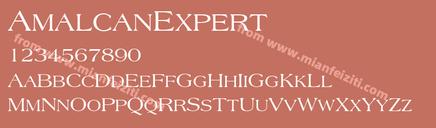 Amalcan Expert预览图1