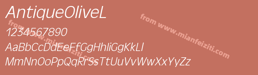 Antique OliveL Italic预览图1