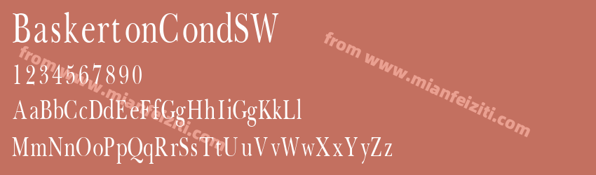 Baskerton CondSWSWFTE预览图1