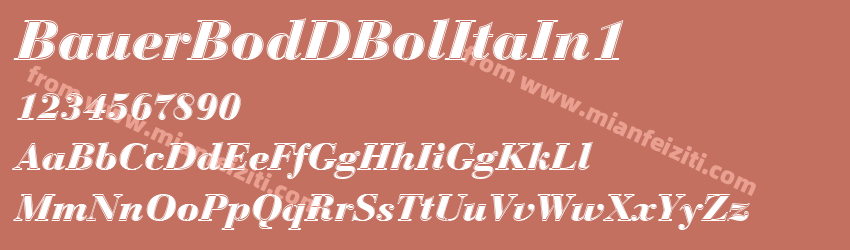 Bauer BodD Bold Ital In1预览图1