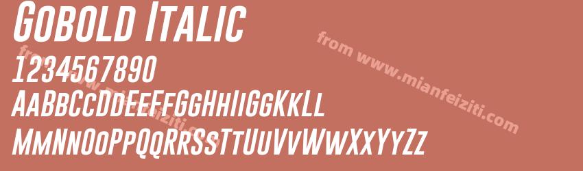 Gobold Italic Italic预览图1