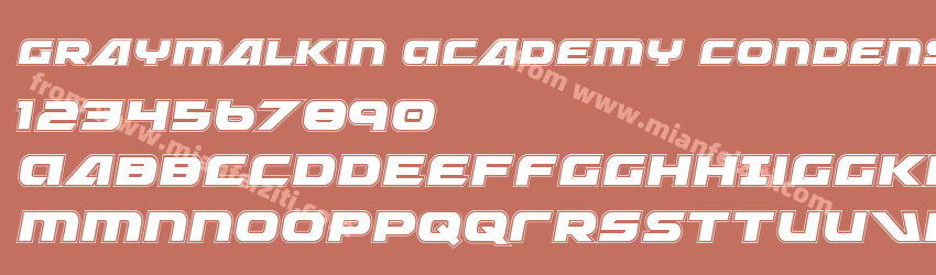 Graymalkin Academy Condensed预览图1