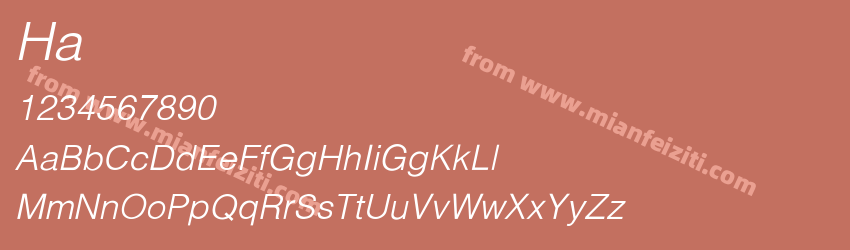 Halvorson Light Italic预览图1