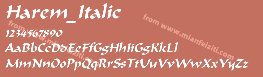 Harem ItalicSWFTE预览图1