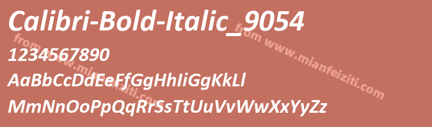 Calibri Bold Italic_9054预览图1