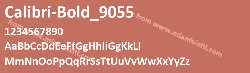 Calibri Bold_9055预览图1