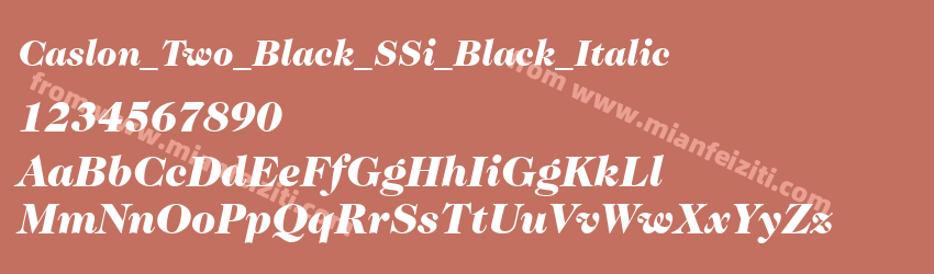 Caslon Two Black S Si Black Italic预览图1
