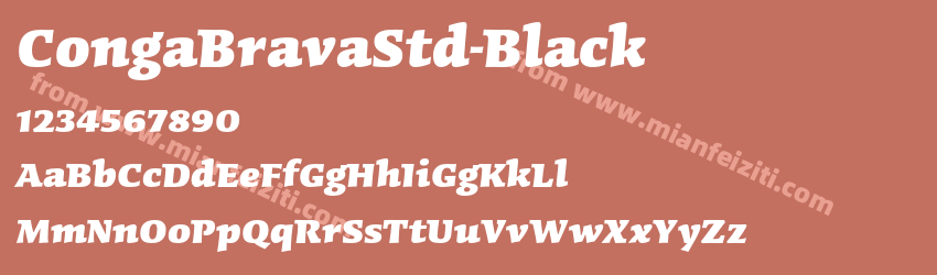 CongaBravaStd-Black预览图1