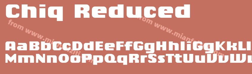 Chiq Reduced Black预览图1