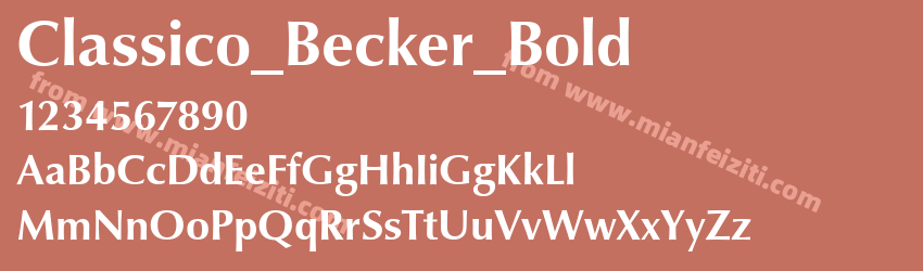 Classico_ Becker_ Bold预览图1