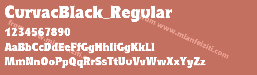 Curvac Black Regular预览图1