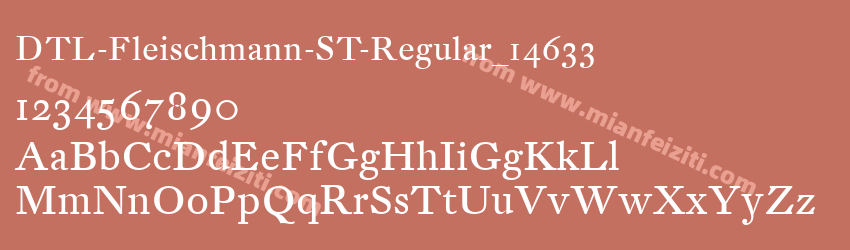 DTL Fleischmann ST Regular_14633预览图1