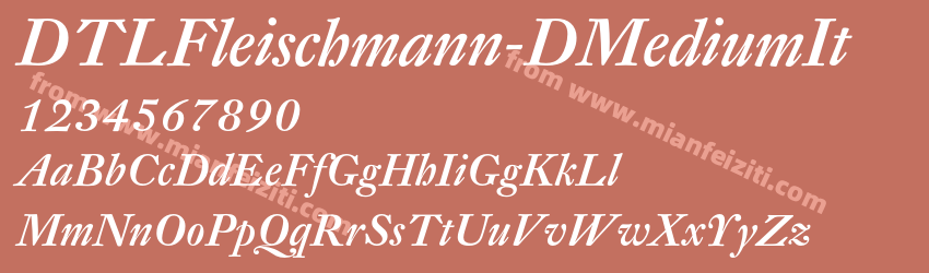 DTL Fleischmann D Medium It预览图1