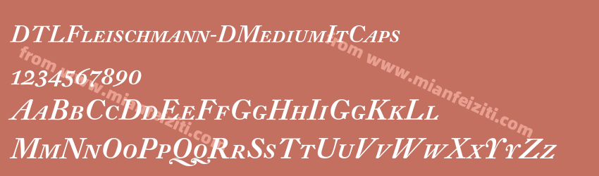 DTL Fleischmann D Medium It Caps预览图1