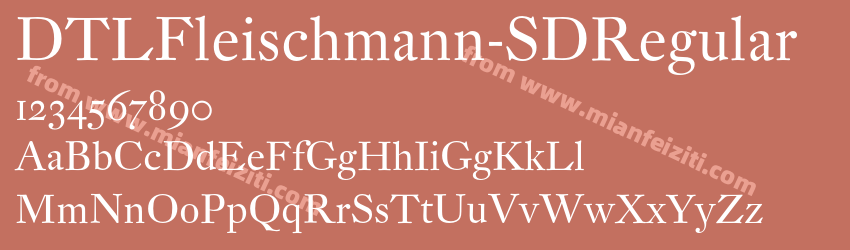 DTL Fleischmann SD Regular预览图1