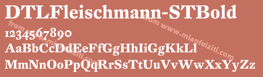 DTL Fleischmann ST Bold预览图1