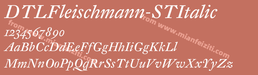 DTL Fleischmann ST Italic预览图1
