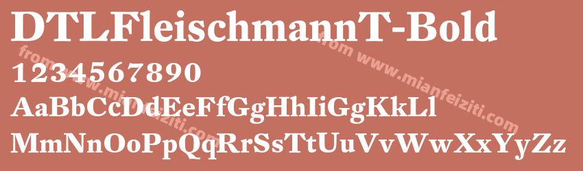 DTL FleischmannT Bold预览图1
