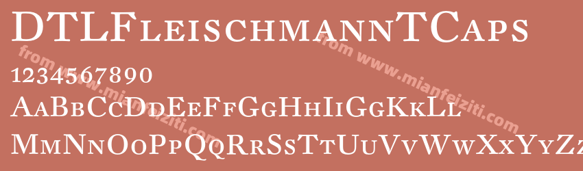 DTL FleischmannT Caps预览图1