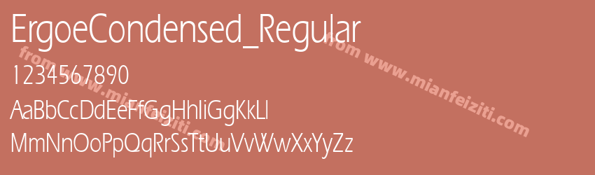Ergoe Condensed Regular预览图1