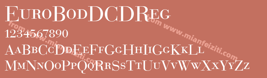 Euro BodDCD Regu预览图1