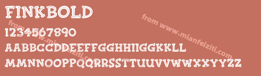 Fink Bold预览图1