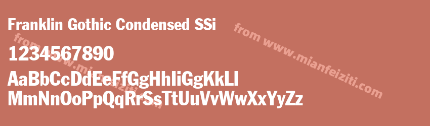 Franklin Gothic Condensed S Si Condensed预览图1