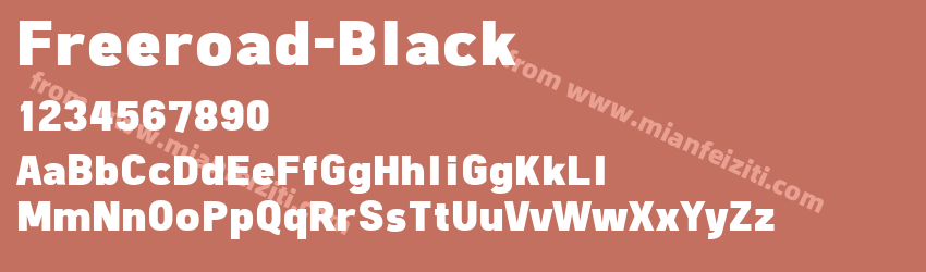 Freeroad Black预览图1