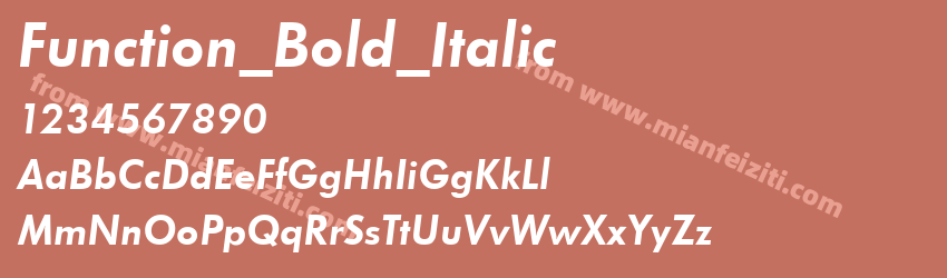 Function Bold Italic预览图1