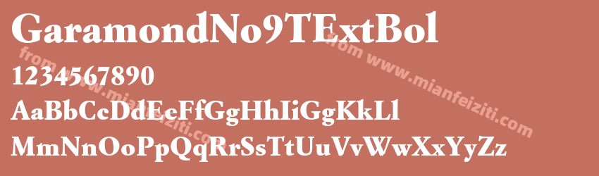Garamond No9T Extr Bold预览图1