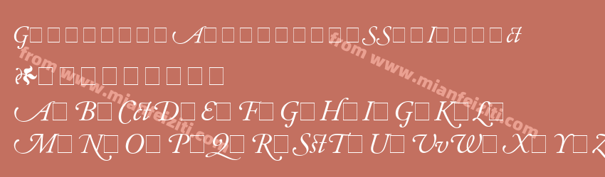 Garamond Alternate S Si Italic预览图1