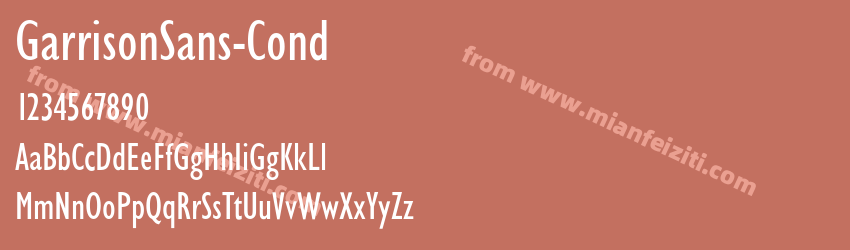 Garrison Sans Cond预览图1