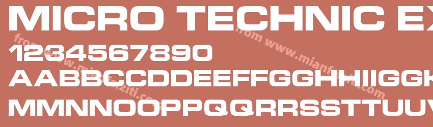 Micro Technic Extended Bold预览图1