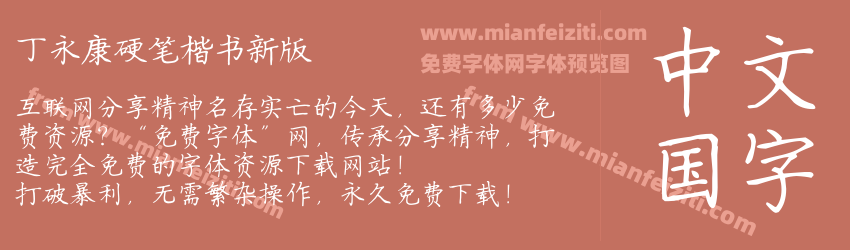 丁永康硬笔楷书新版预览图1