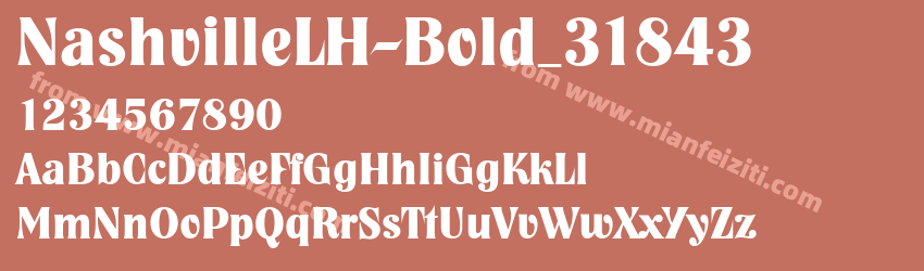 NashvilleLH Heavy Bold预览图1