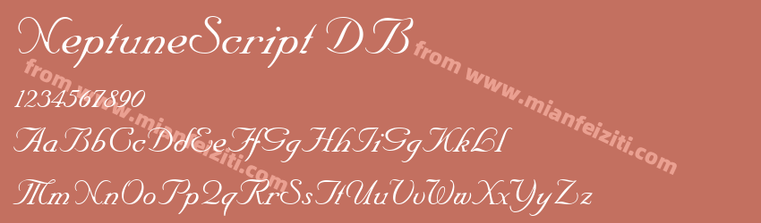 Neptune Script Regular DB预览图1