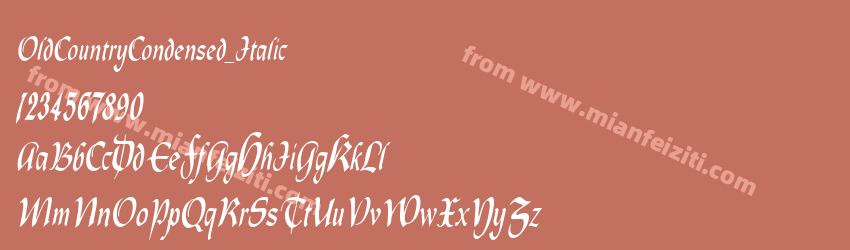 Old Country Condensed ItalicSWFTE预览图1