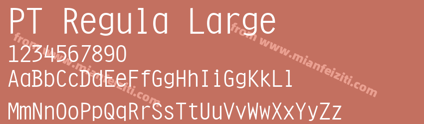 PT Regula Large预览图1