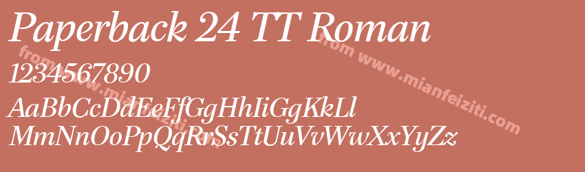 Paperback 24 TT Roman预览图1