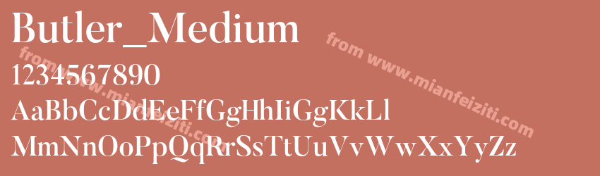 Butler Medium预览图1