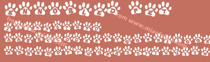 Ennobled Pet Regular预览图1