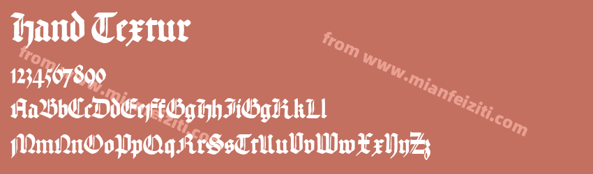 Hand Textur预览图1