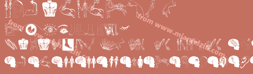 Human Inside预览图1
